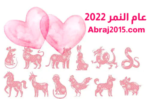 الابراج الصينية 2022 في الحب والزواج