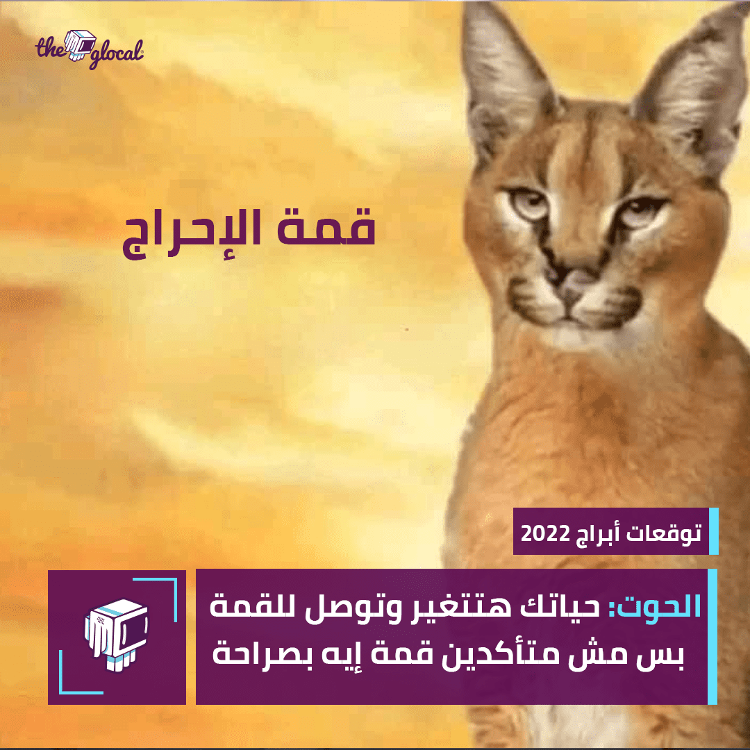 الحوت 2022 الحوت 2022